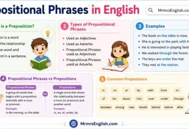 Prepositional Phrases in English with Examples and Pictures