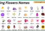 Spring Flowers Names in English with Their Pictures