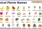 Tropical Plants Names in English with Their Pictures