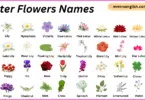 Water Flowers Names in English with Their Pictures