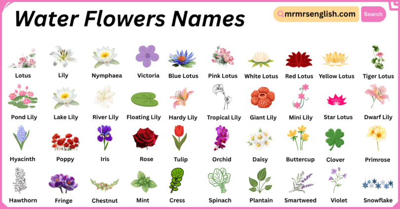 Water Flowers Names in English with Their Pictures