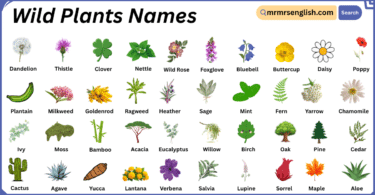 Wild Plants Names in English with Their Pictures