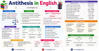 Antithesis in English Grammar with Examples and Meanings