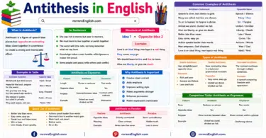 Antithesis in English Grammar with Examples and Meanings