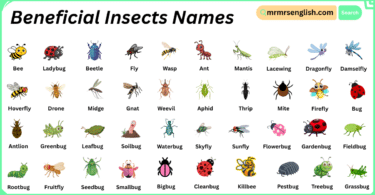 Beneficial Insects Names in English with Their Pictures