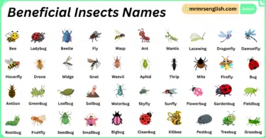 Beneficial Insects Names in English with Their Pictures