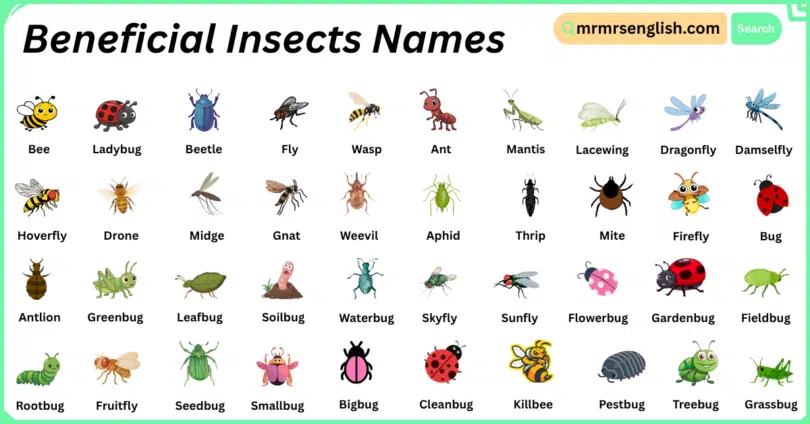 Beneficial Insects Names in English with Their Pictures
