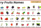 Berry Fruits Names in English with Their Pictures
