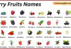 Berry Fruits Names in English with Their Pictures