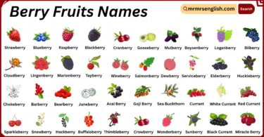 Berry Fruits Names in English with Their Pictures