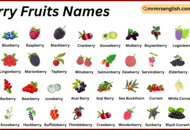 Berry Fruits Names in English with Their Pictures