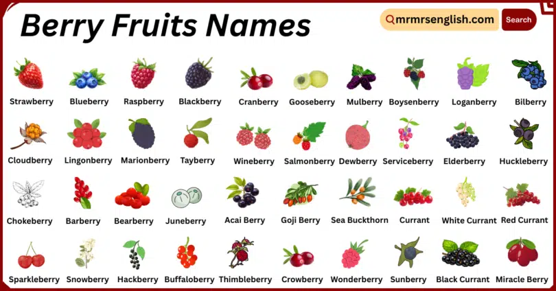 Berry Fruits Names in English with Their Pictures