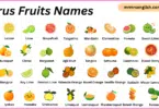 Citrus Fruits Names in English with Their Pictures