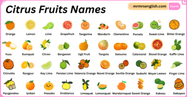 Citrus Fruits Names in English with Their Pictures