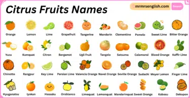 Citrus Fruits Names in English with Their Pictures