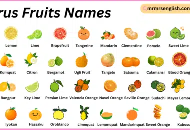Citrus Fruits Names in English with Their Pictures