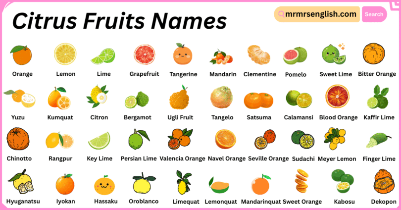 Citrus Fruits Names in English with Their Pictures
