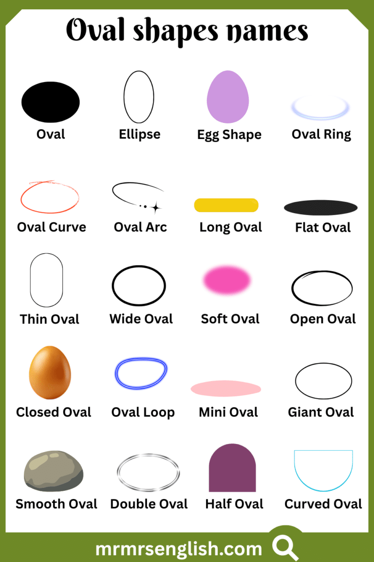 Oval Shapes Names in English with Their Pictures - MR MRS ENGLISH