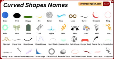 Curved Shapes Names in English with Their Pictures