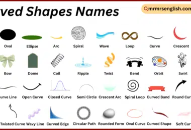 Curved Shapes Names in English with Their Pictures