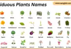 Deciduous Plants Names in English with Their Pictures