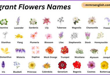 Fragrant Flowers Names in English with Their Pictures