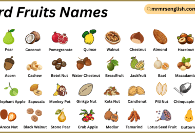 Hard Fruits Names in English with Their Pictures