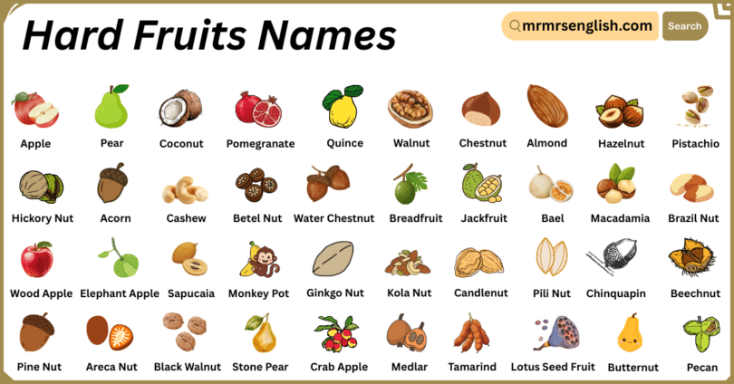Hard Fruits Names in English with Their Pictures