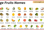 Large Fruits Names in English with Their Pictures