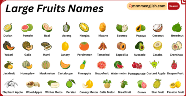 Large Fruits Names in English with Their Pictures