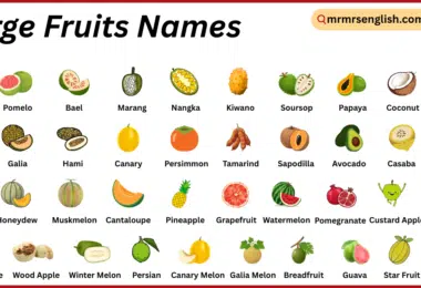 Large Fruits Names in English with Their Pictures