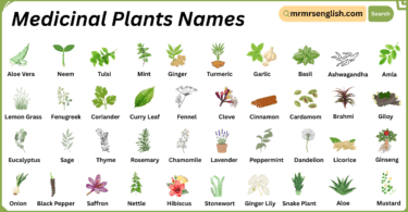 Medicinal Plants Names in English with Their Pictures
