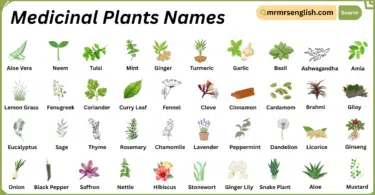Medicinal Plants Names in English with Their Pictures