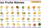 Melon Fruits Names in English with Their Pictures