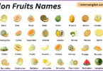 Melon Fruits Names in English with Their Pictures