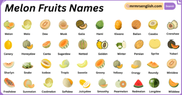 Melon Fruits Names in English with Their Pictures
