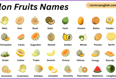 Melon Fruits Names in English with Their Pictures