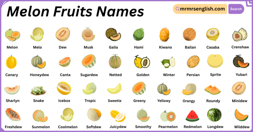 Melon Fruits Names in English with Their Pictures