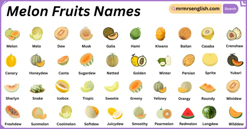 Melon Fruits Names in English with Their Pictures