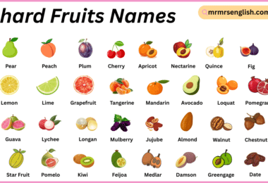 Orchard fruit Names in English with Their Pictures