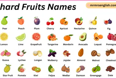 Orchard fruit Names in English with Their Pictures