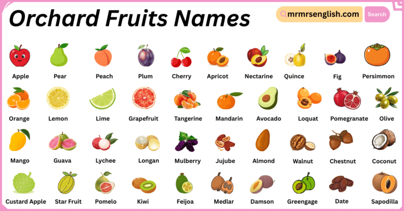 Orchard fruit Names in English with Their Pictures