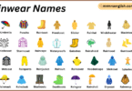Rainwear Names in English with Their Pictures