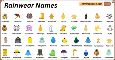 Rainwear Names in English with Their Pictures