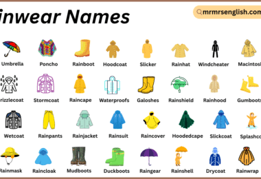 Rainwear Names in English with Their Pictures