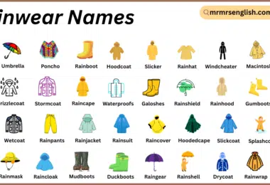 Rainwear Names in English with Their Pictures