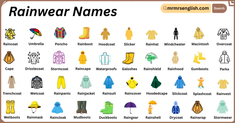 Rainwear Names in English with Their Pictures