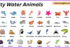Salty Water Animals Names in English with Their Pictures