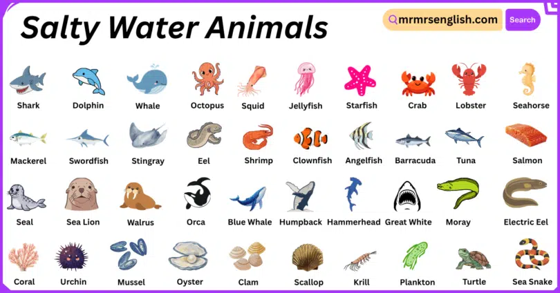 Salty Water Animals Names in English with Their Pictures