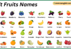 Soft Fruits Names in English with Their Pictures